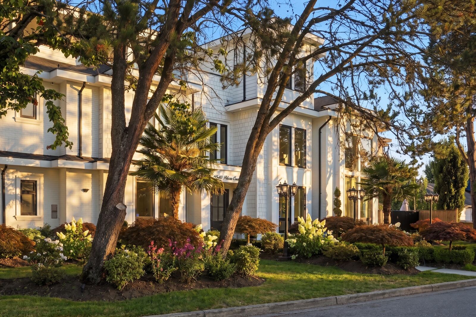 Front of a white estate home with mature trees and a colourful landscaped garden in warm afternoon light